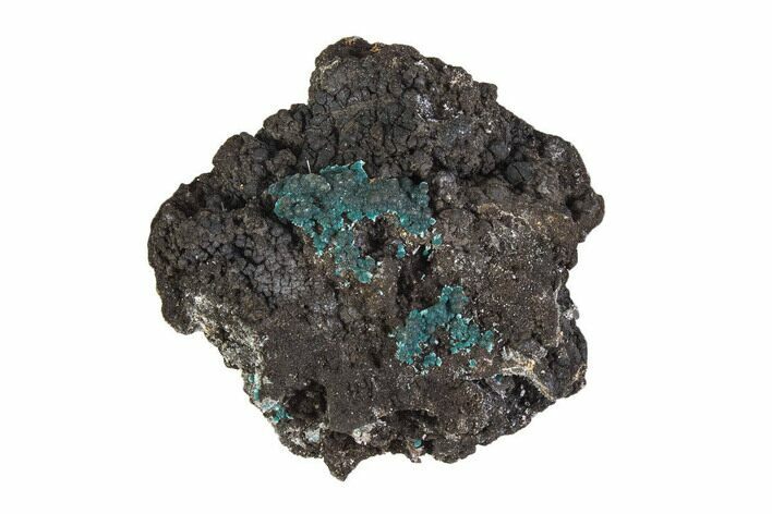 Teal Blue Rosasite on Goethite - Mexico #372779